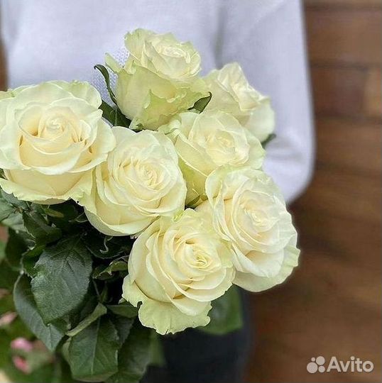 Розы Высокие 150см 160см 170см 180см 190см 2м