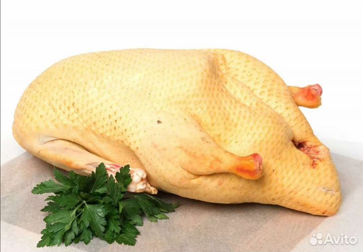 Мясо кур. утки. домашние