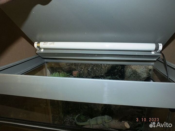 Террариум супер для экзотики