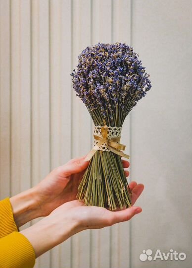 Лаванда букет / сухоцветы