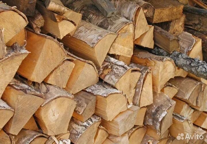 Дрова береза