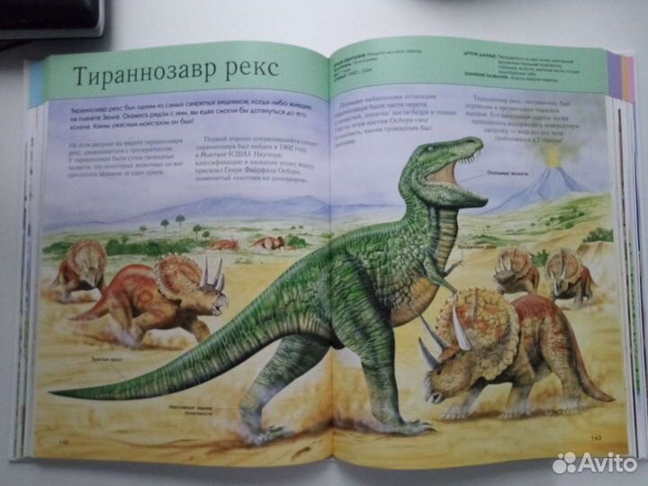 Книги энциклопедии динозавры, акулы