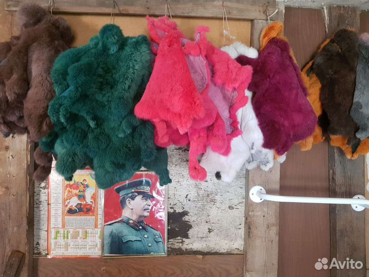 Выделанные Шкурки Кролика