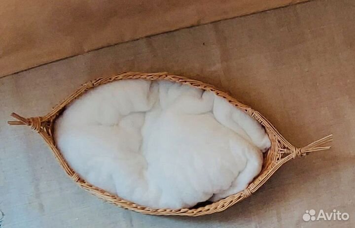 Инвентарь для фотосессии