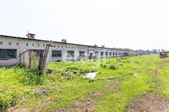 Продам помещение свободного назначения, 1890.5 м²