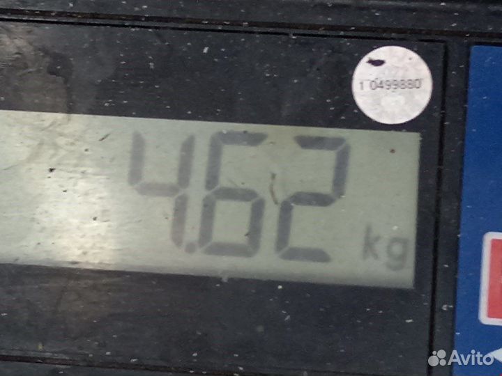 Суппорт задний правый Audi A6 C6