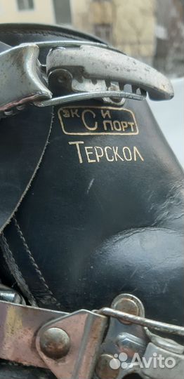 Горнолыжные ботинки и лыжи (комплект)