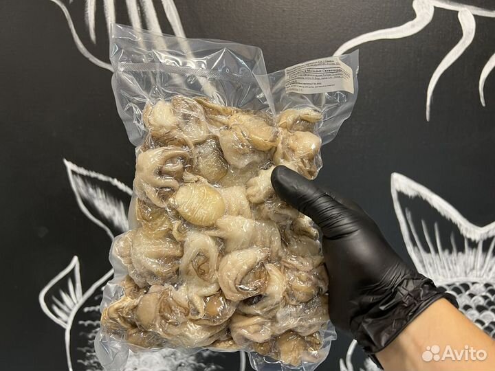 Осьминог молодой. Вьетнам