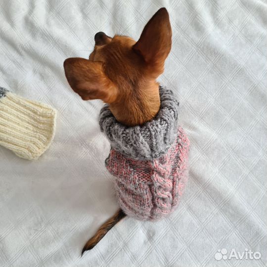 Свитер для маленьких собак