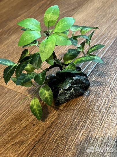 Деревце бансай в камне ширина 6см высота 12см