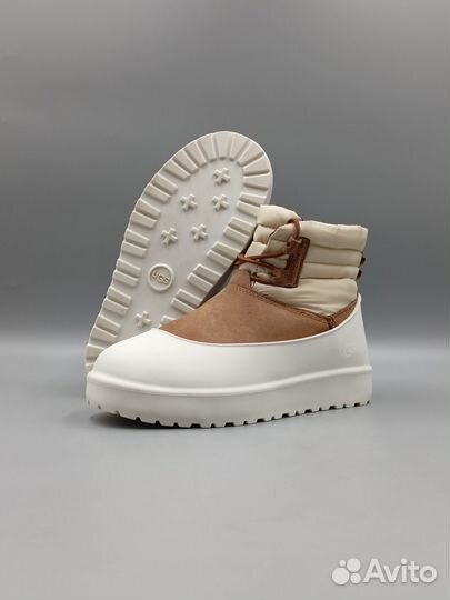 Угги UGG classic mini lace-UP weather chestnut