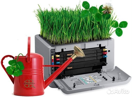 Ремонт принтеров/ мфу