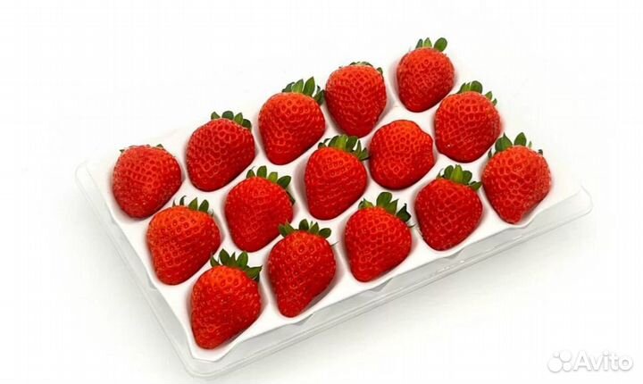 Премиум упаковка для клубники (коррекс) 350 гр