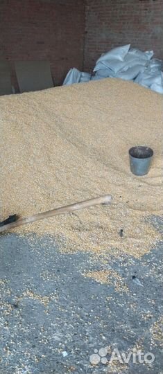 Зерно:Пшеница,ячмень,овёс,кукуруза,горох,комбикорм