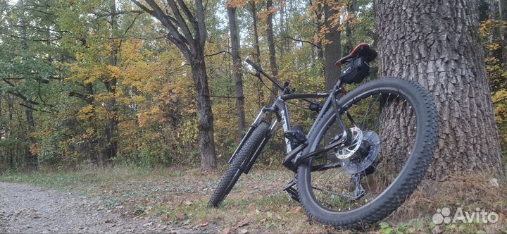 Intense spider sport 29 Горный велосипед 2024