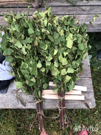 Веники березовые