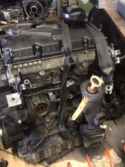 Гбц фольксваген bkc 1.9 тди