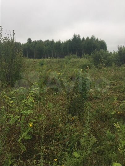 Участок 15 сот. (СНТ, ДНП)