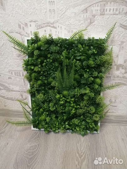 Фитокартина