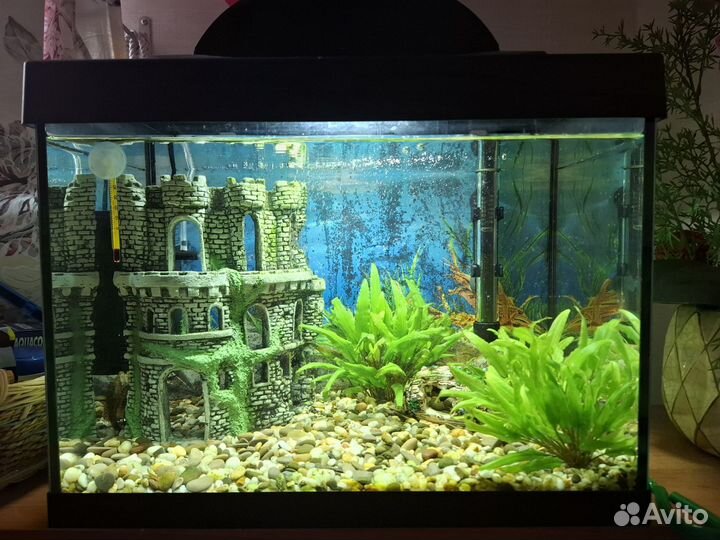 Аквариум Tetra