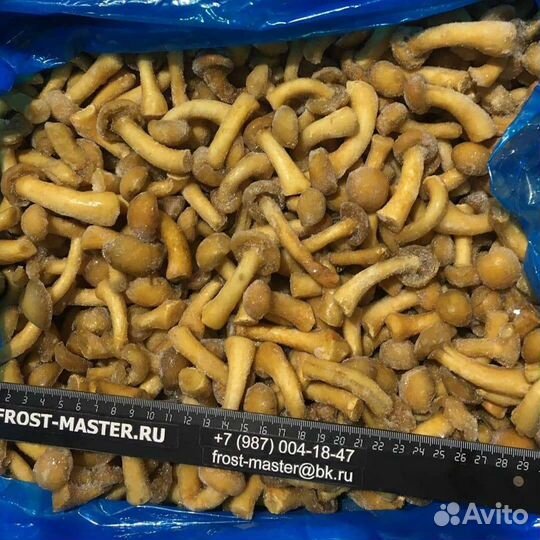 Ягоды овощи заморозка