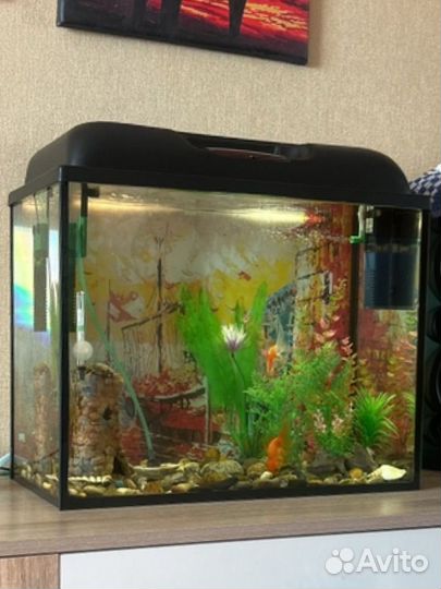 Аквариум