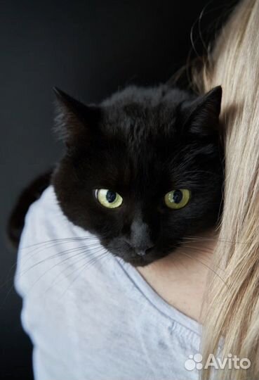 Марс в добрые руки