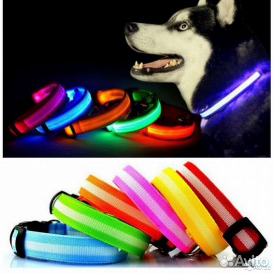 LED Ошейник светящийся