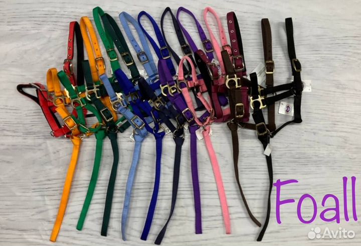 Недоуздок для жеребёнка новый