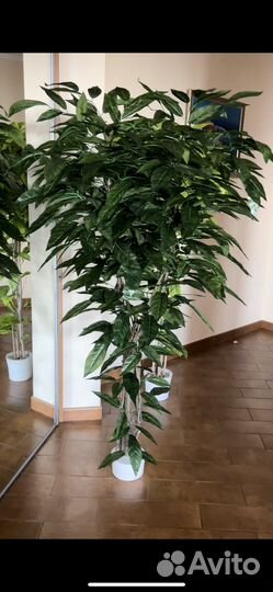 Искуственное дерево манго, искуственные растения