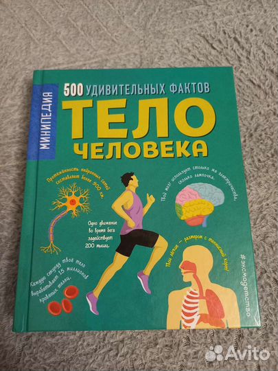 Книга тело человека. 500 удивительных фактов