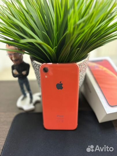 iPhone Xr, 128 ГБ