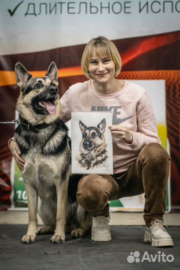 Портреты животных по фото, портрет питомца