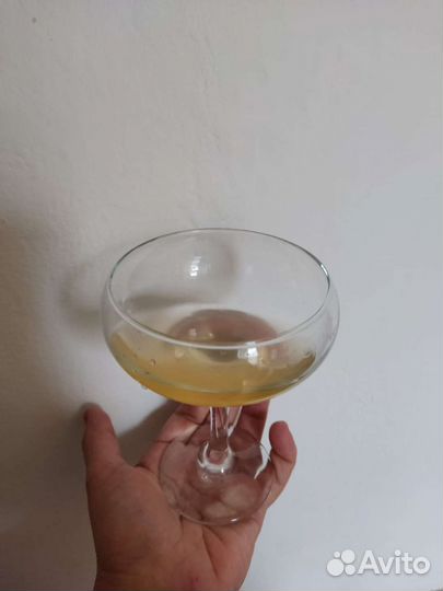 Комбуча чайный гриб банка