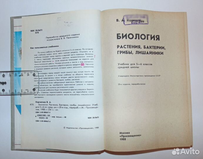 Корчагина Вера. Биология 5-6 класс - 1988 год