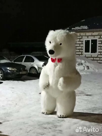 Белый мишка поздравление