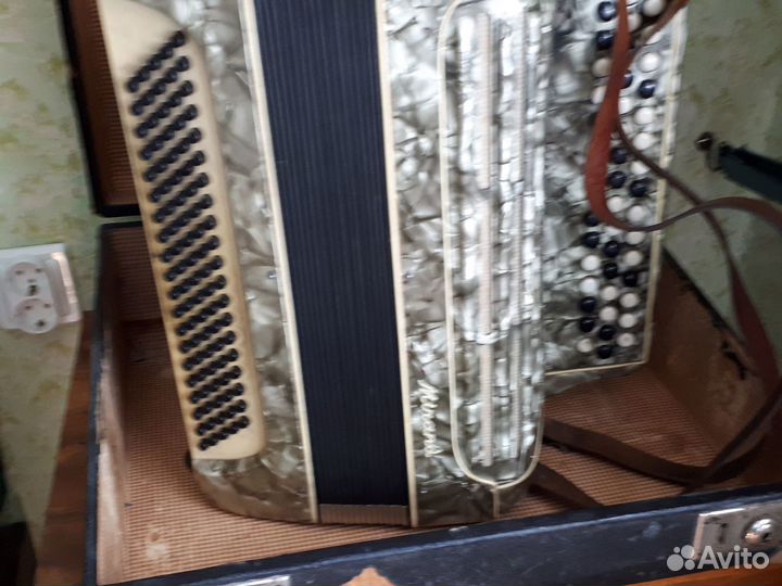 Баян немецкий Миранда