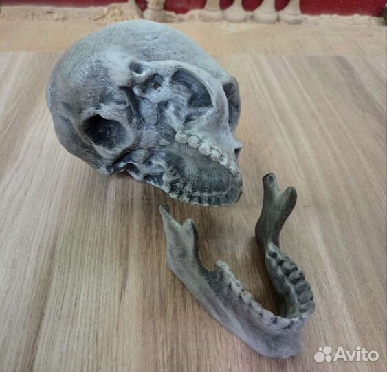 Череп из берëзы