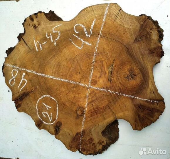 Спилы карагача сухие