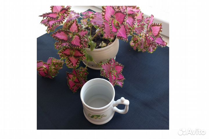 Фарфор вербилки СССР