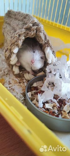 Дом из джута новые для хомяков, мышей, свинок