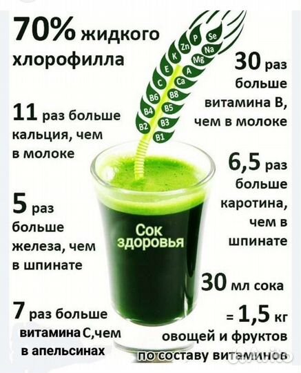 Витграсс в наличии и под заказ