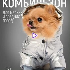 Купить комбинезон для собаки мелкой породы