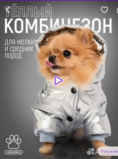 Комбинезон для маленькой собаки