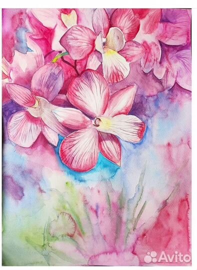 Картины акварельные