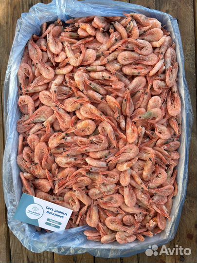 Мурманская креветка 300+