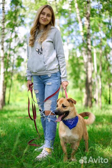 Веселый молодой пес Батлер из приюта ищет дом