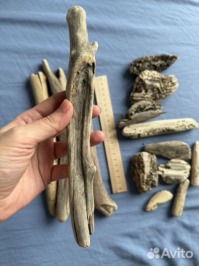 Дрифтвуд набор