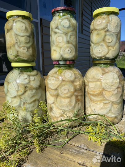 Грибы грузди соленые