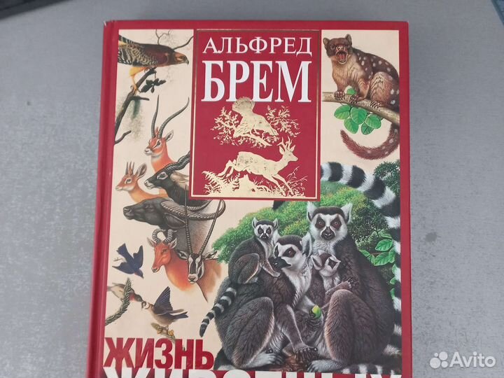 Энциклопедия